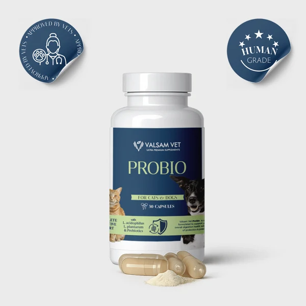 Valsam Vet PROBIO пробиотичен комплекс за кучета и котки, 30 капсули