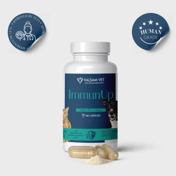 Valsam Vet ImmunUp за естествените защитни сили на кучета и котки, 60 капсули
